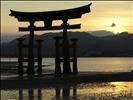 Torii by sunset